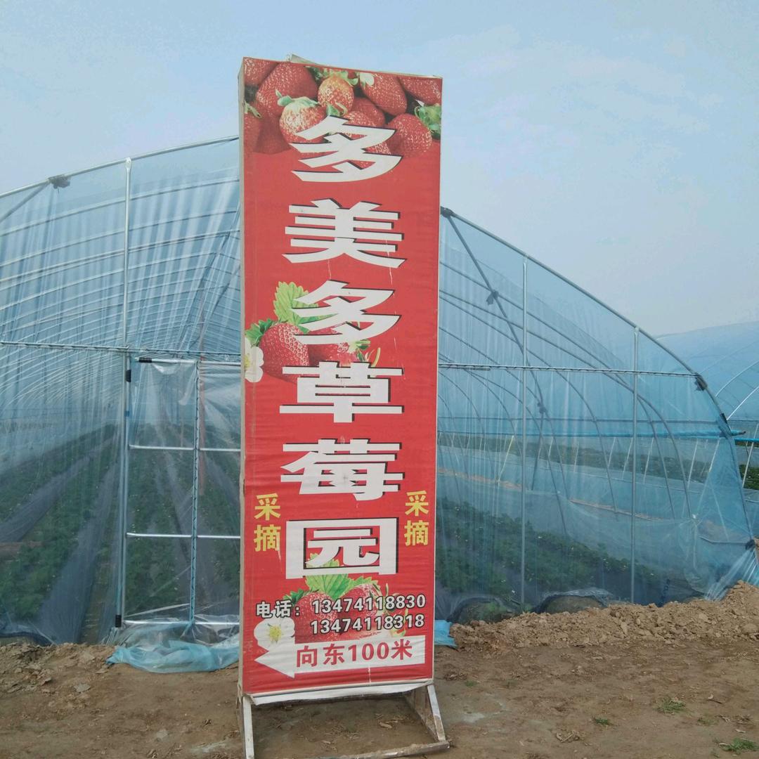 多美多草莓园
