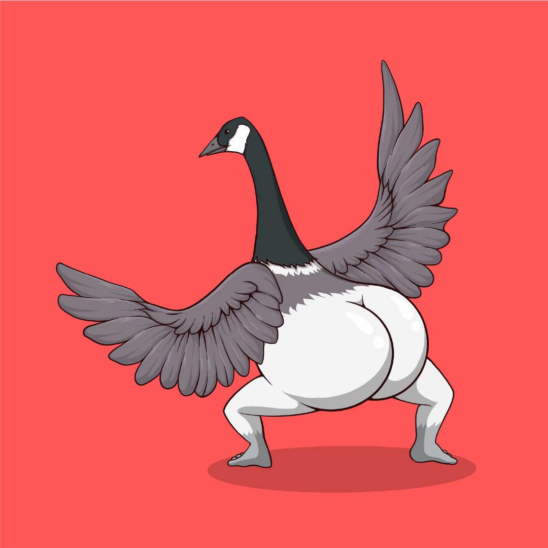 BootyBirds屁屁鸟