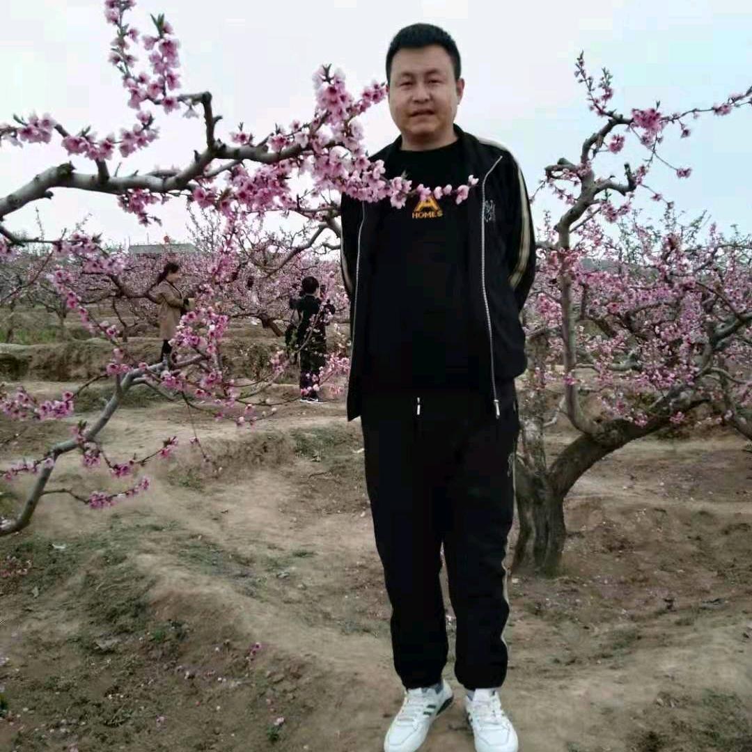 鹏鹏