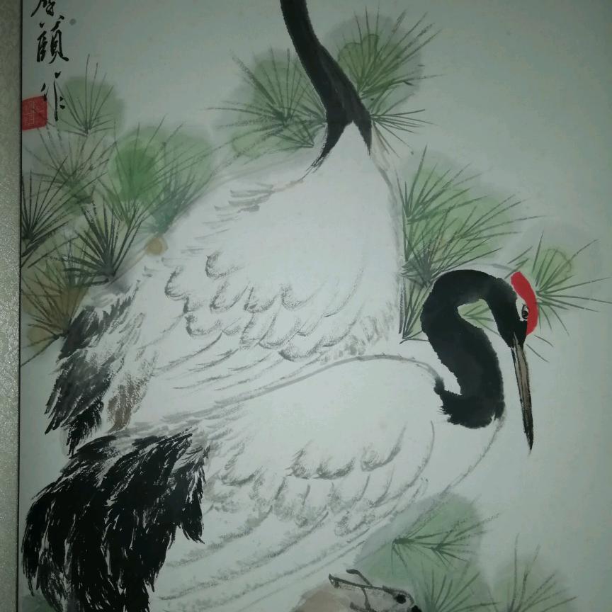 善待兔