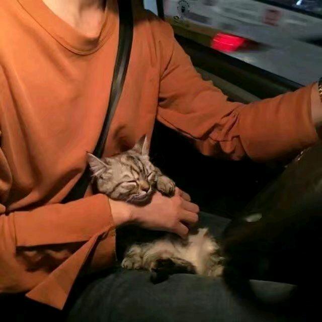 恒信日化严选