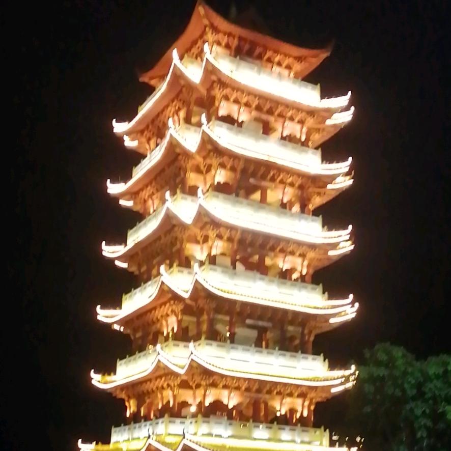韦