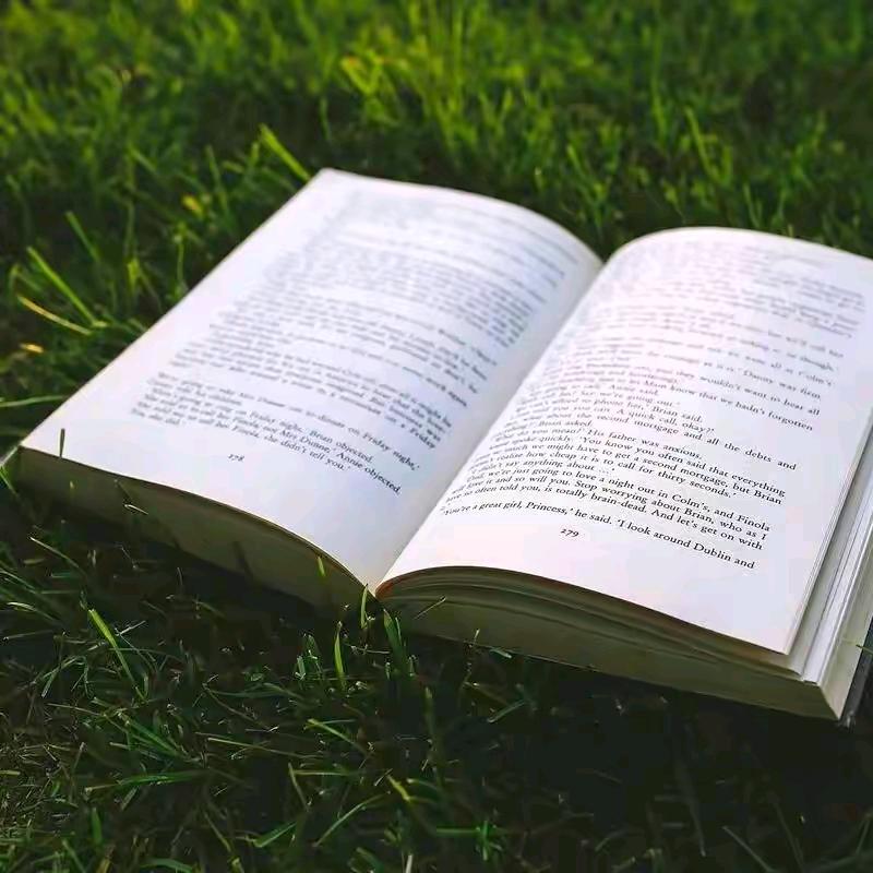 青青育儿【橱窗好物】