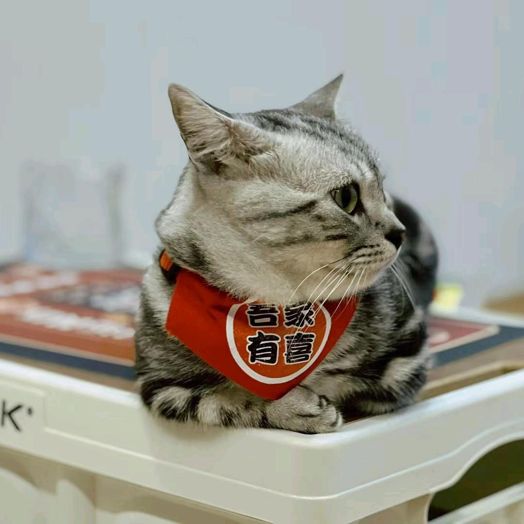 彩云津南