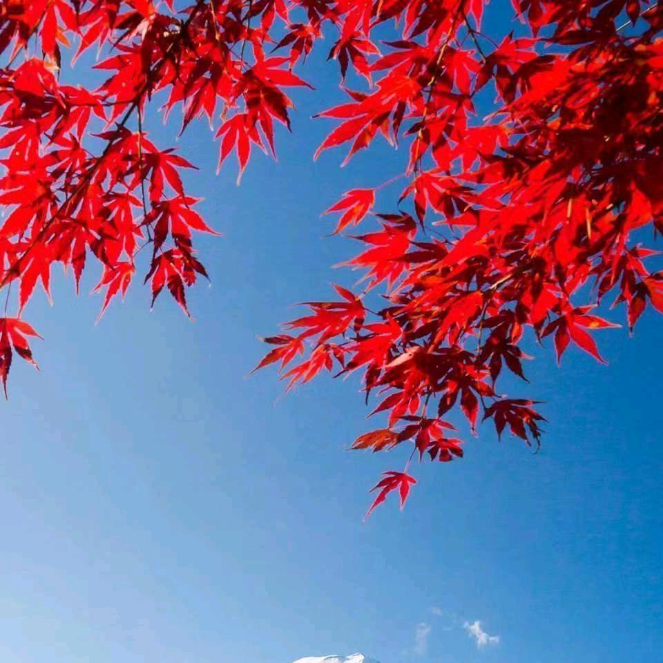 用户618904911聆听