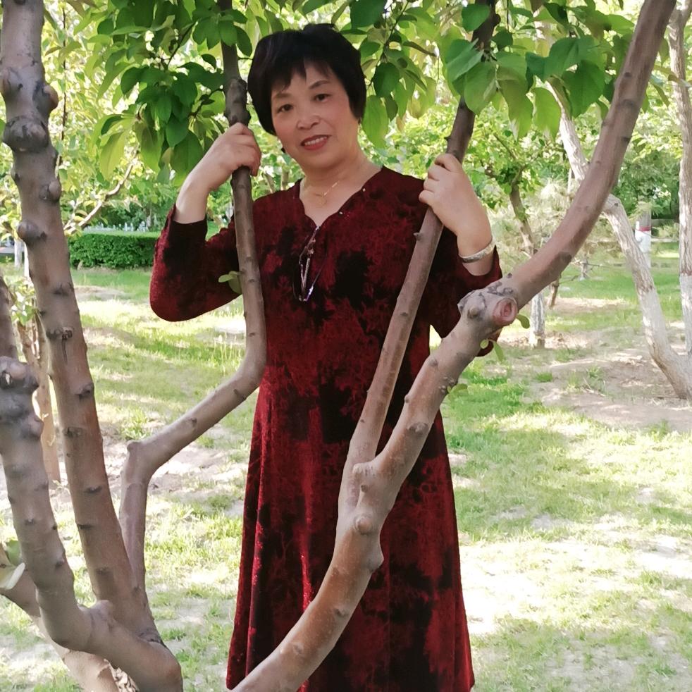 a芬