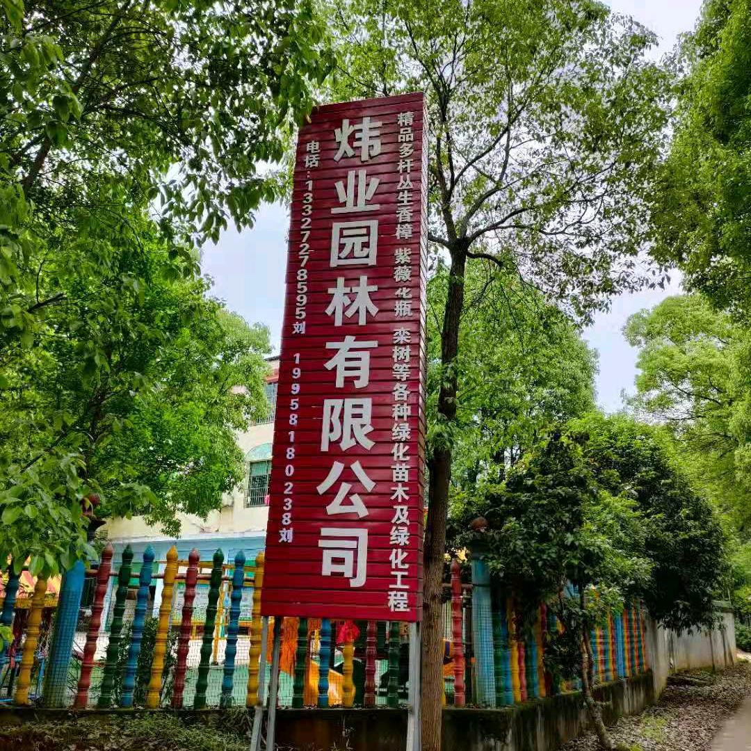 湖南省益阳市资阳区炜业苗木经营部