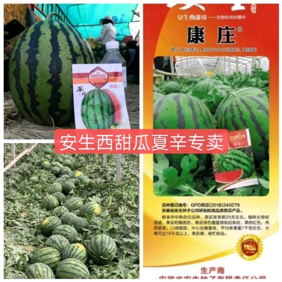 裕农农业夏玉周