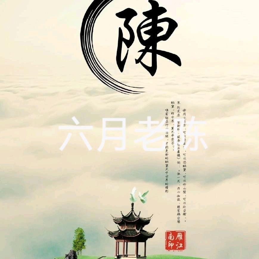 六月老陈