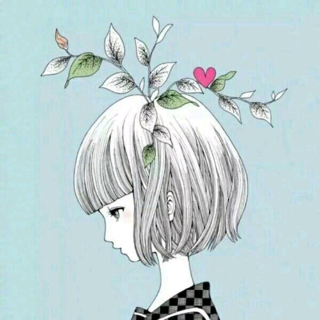 平凉金美合总经销