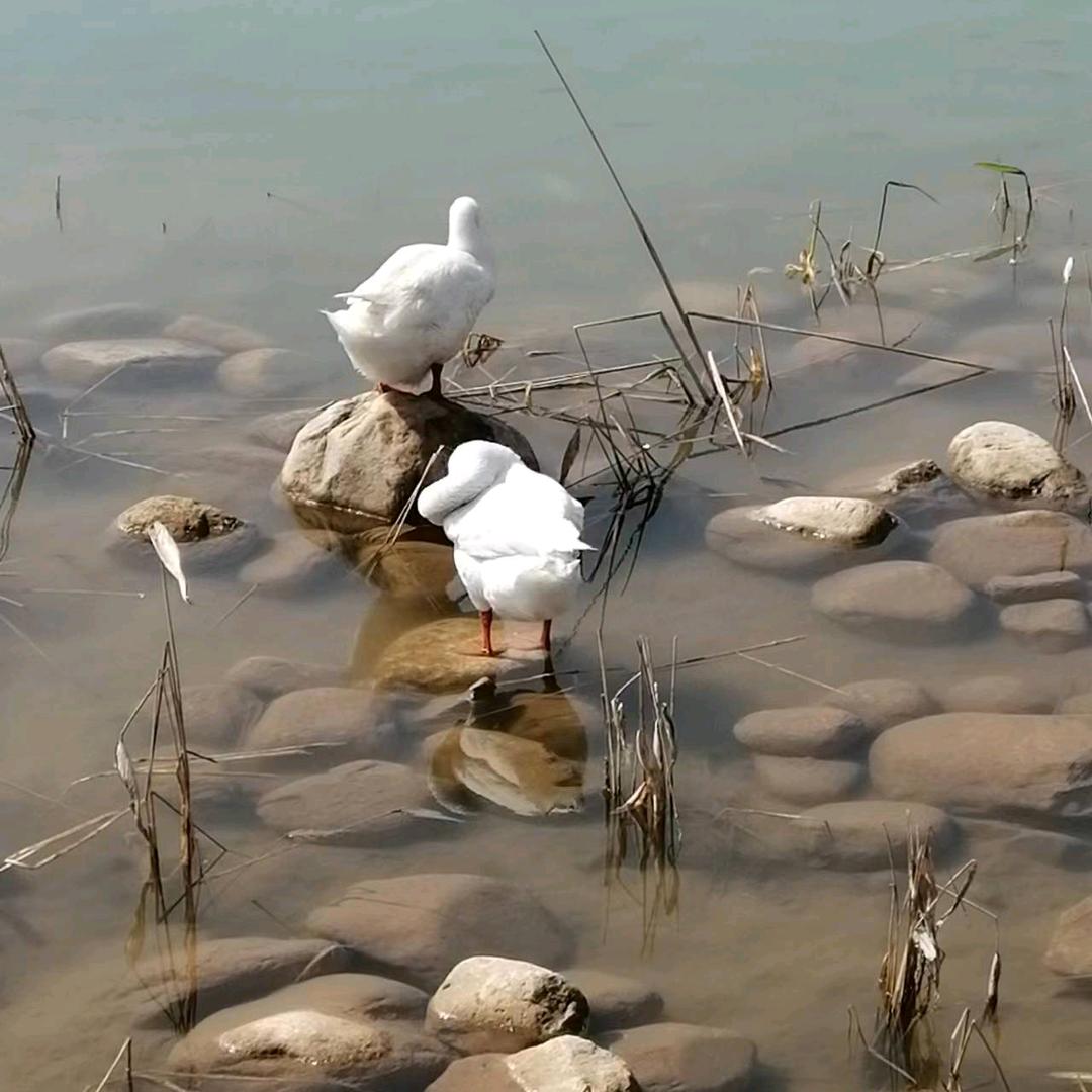 我只在乎你