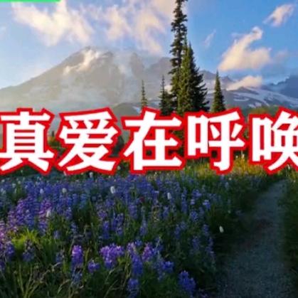 真爱在呼唤