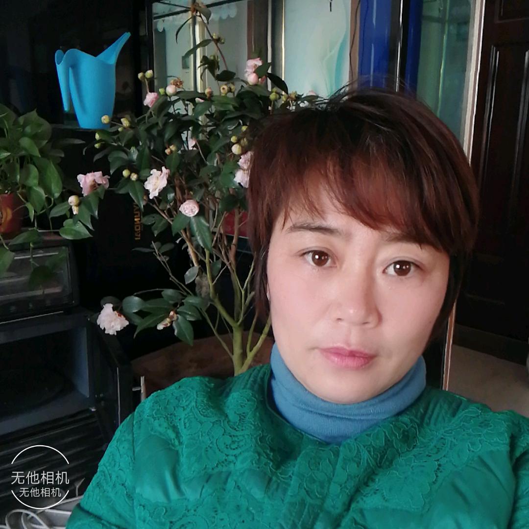 伟星管总经销