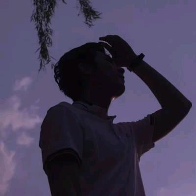 只看不点