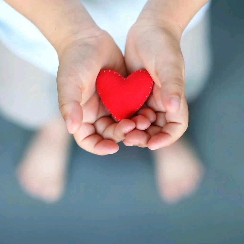 诚信果业山东日照老崔