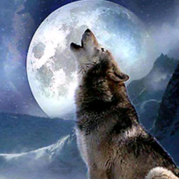 对，就是那个人