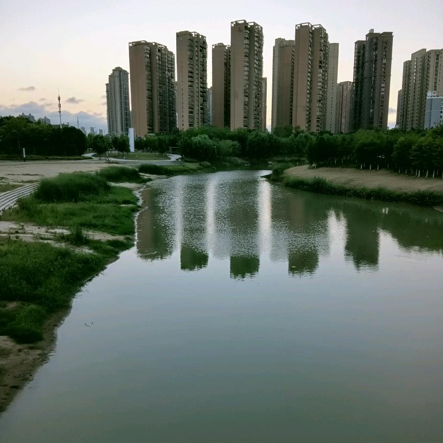 老百姓