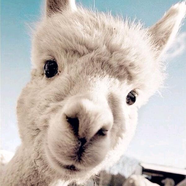 ☀️阳小阳☀️