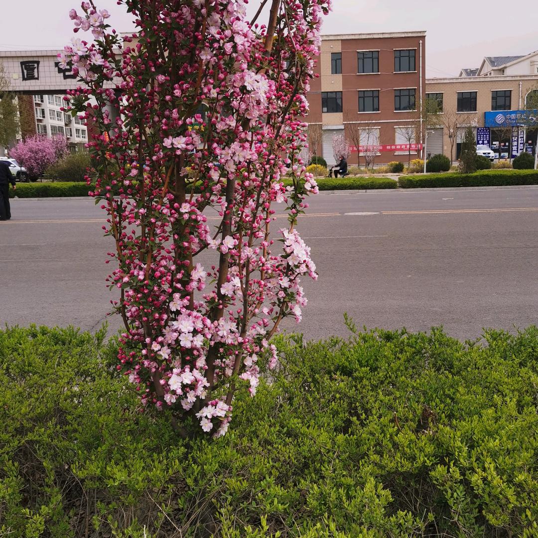 用户9426林586522755林