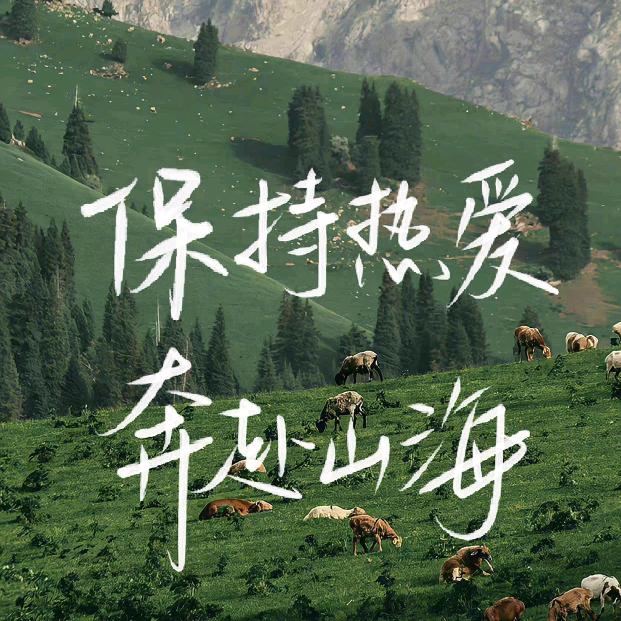 从来热爱