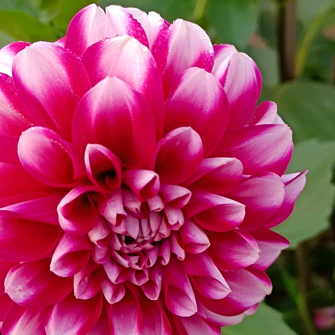 用户157553976738梅拒绝私聊