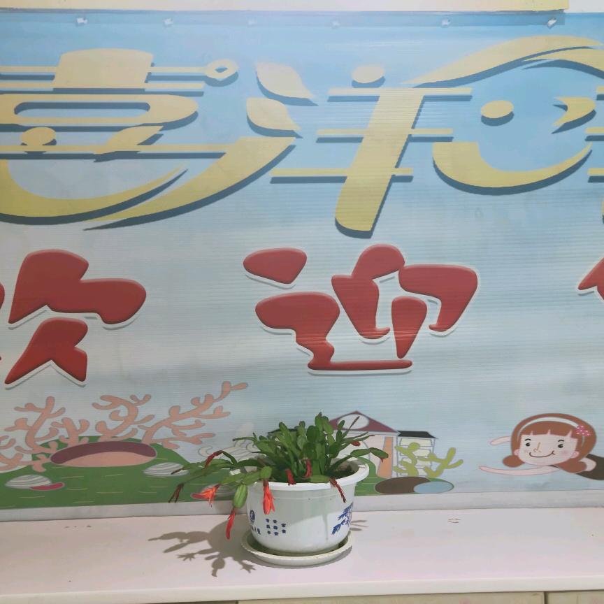 栾川县洗洋洋母婴用品店