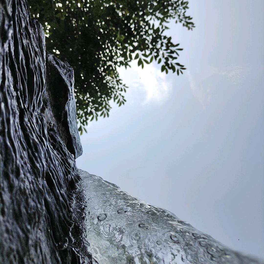 尧尧