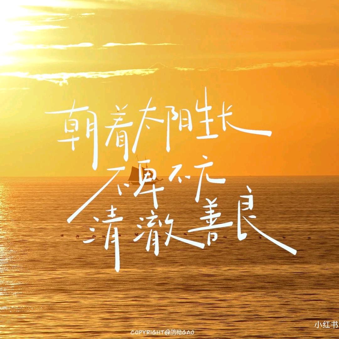 🔆清净🔆