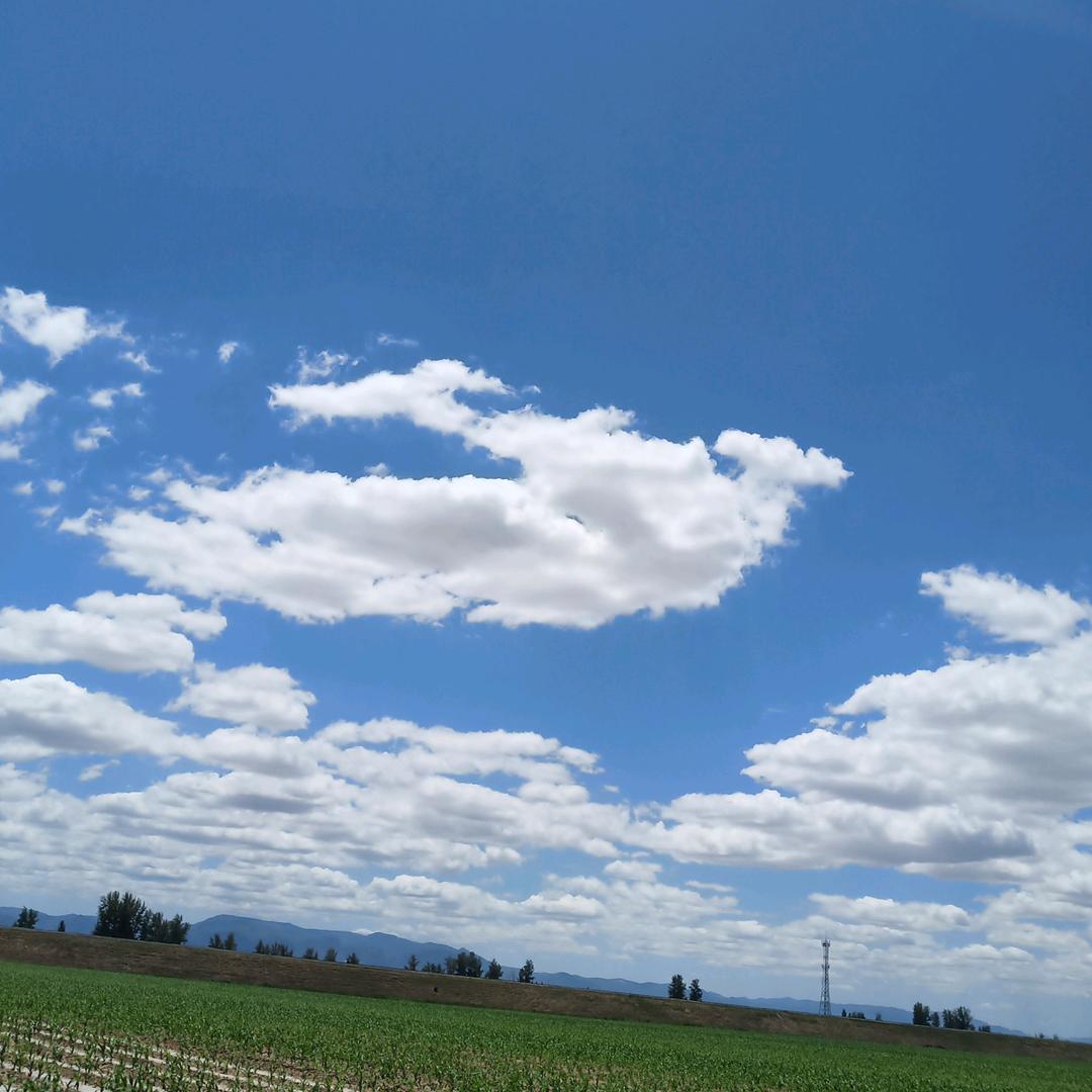 大德庄生态农场