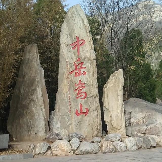 90后西瓜种植