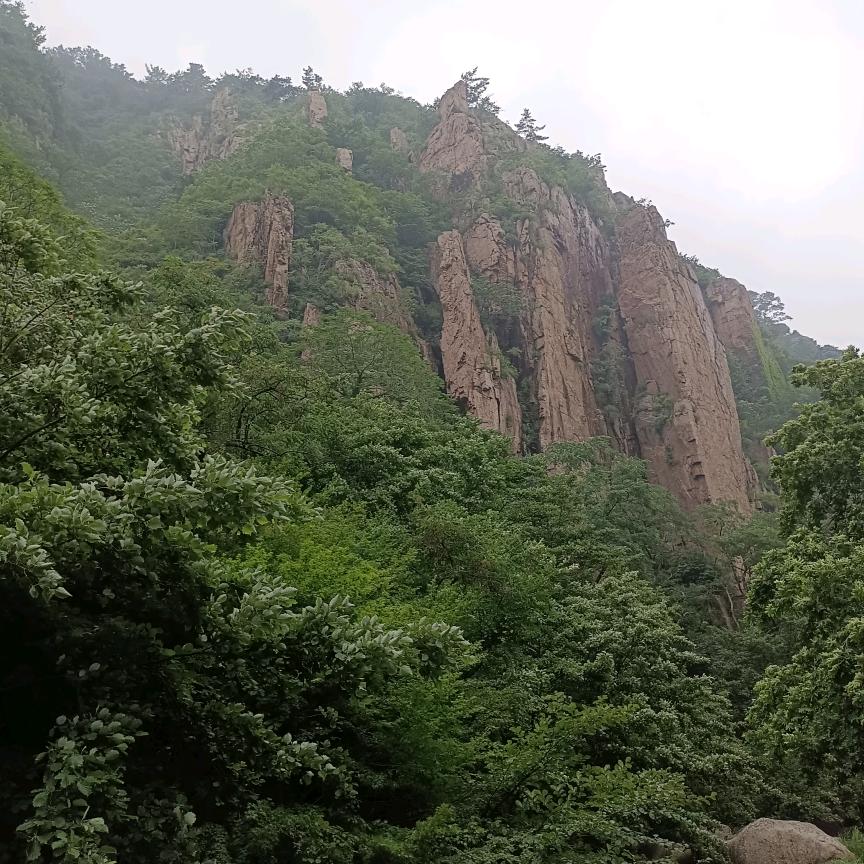 领悟