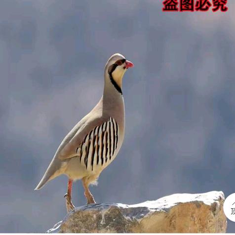 把握时间