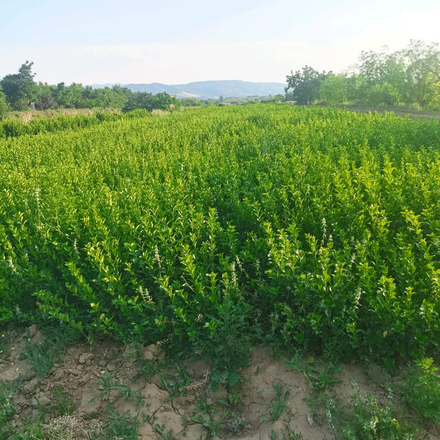 用户2286291923982宁静致远