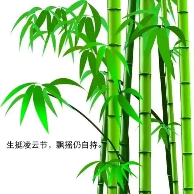 岁寒三友