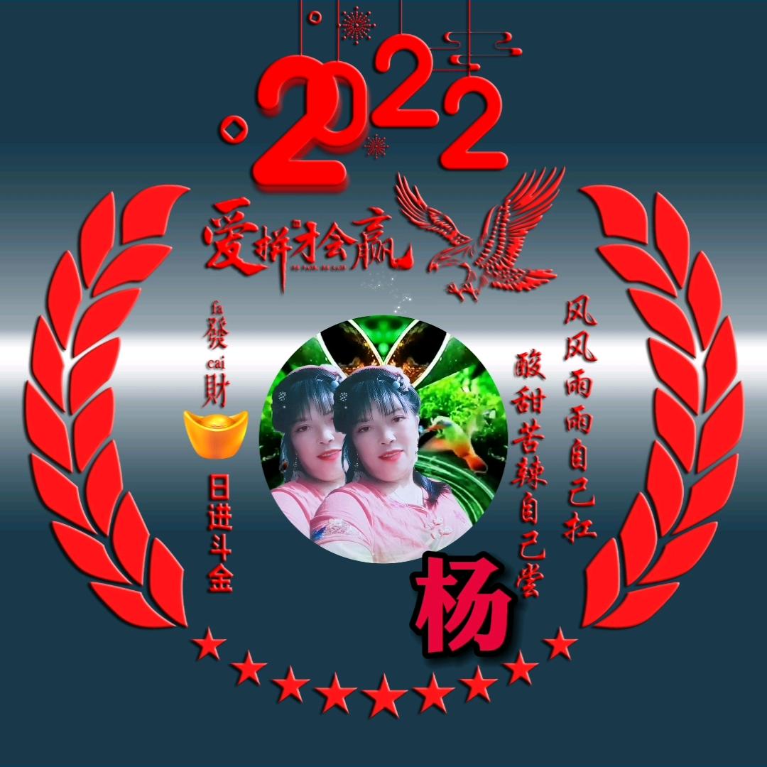 杨花芬芳