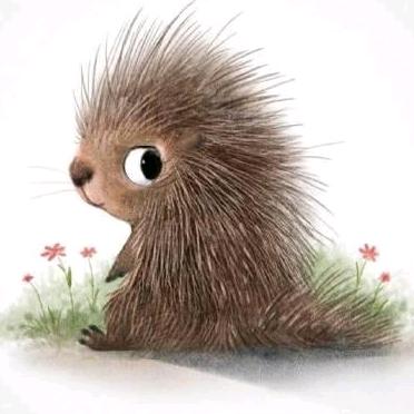 Lovely Hedgehog