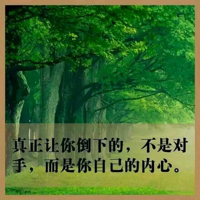风雨人生