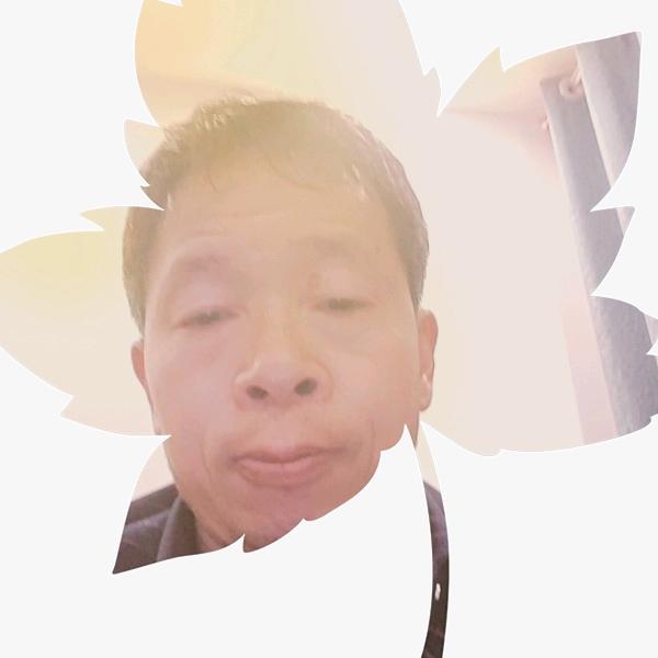 龙宝宝