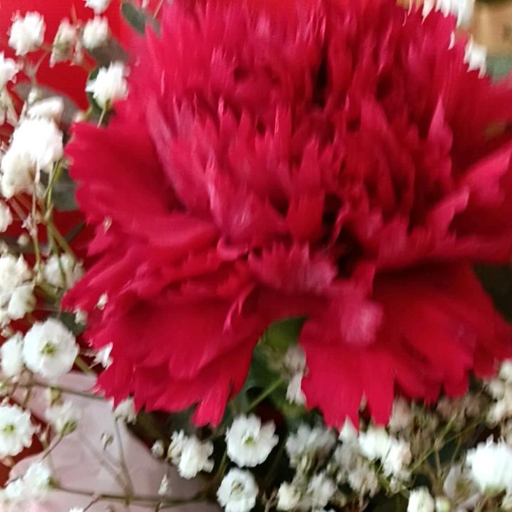可遇不可求