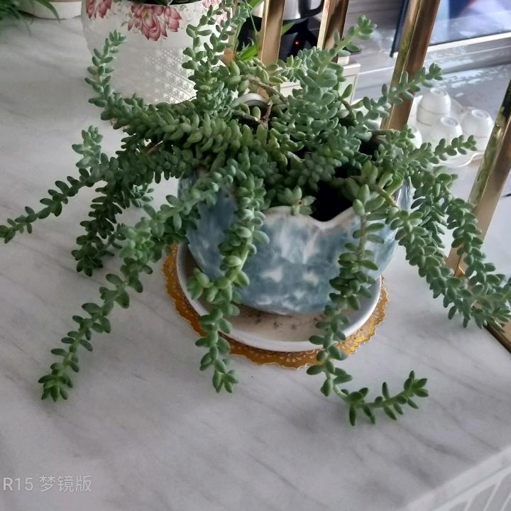 忆