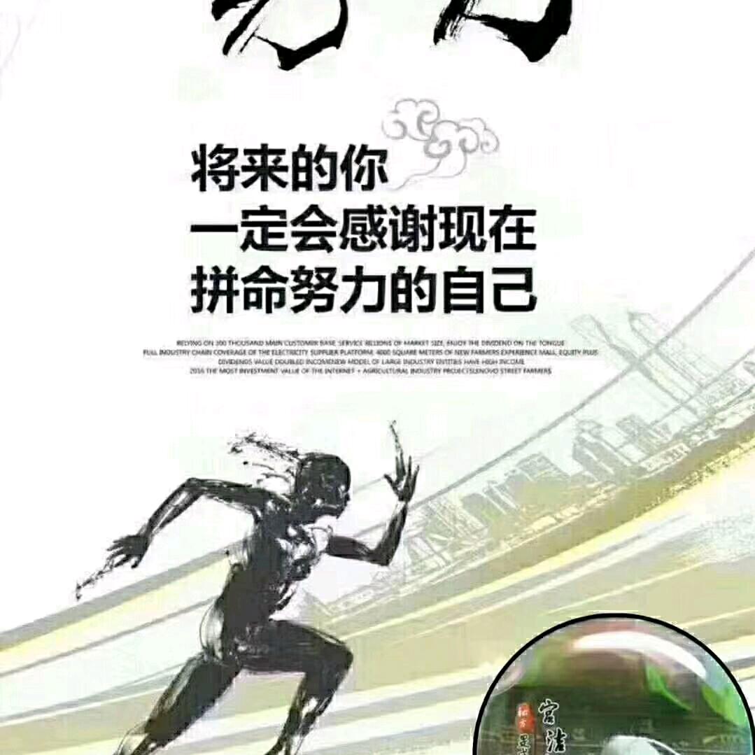 放飞自我
