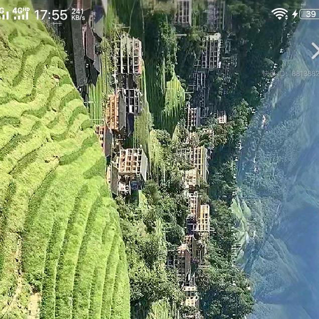 过好当下