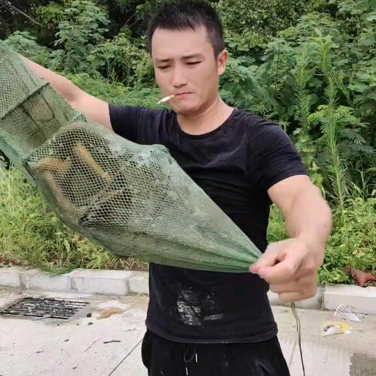 户外，农村，烂牙