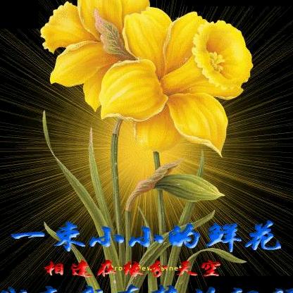 夕阳红973516416英