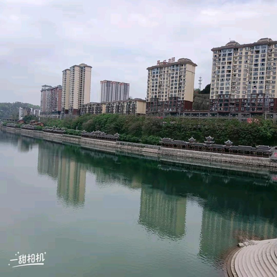杨梅