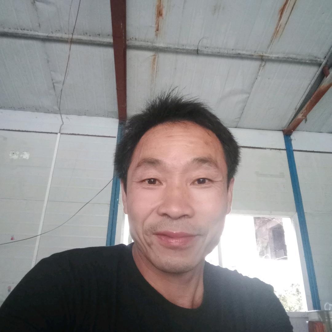 刘兴汉