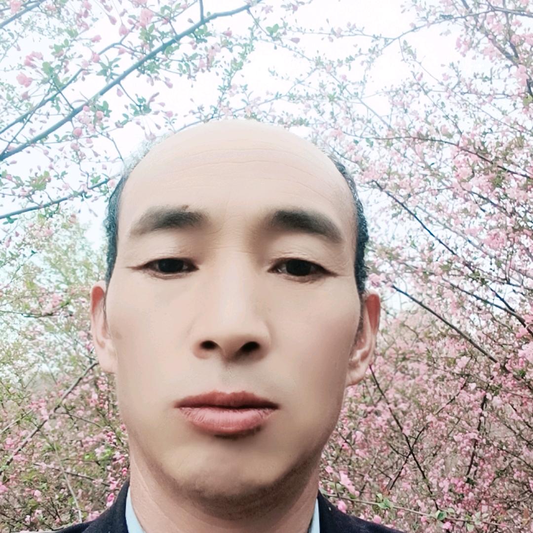 回首精华