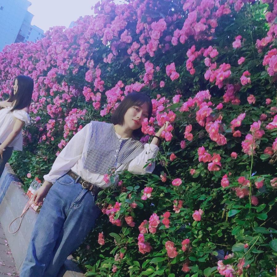 散落的记忆花🌸