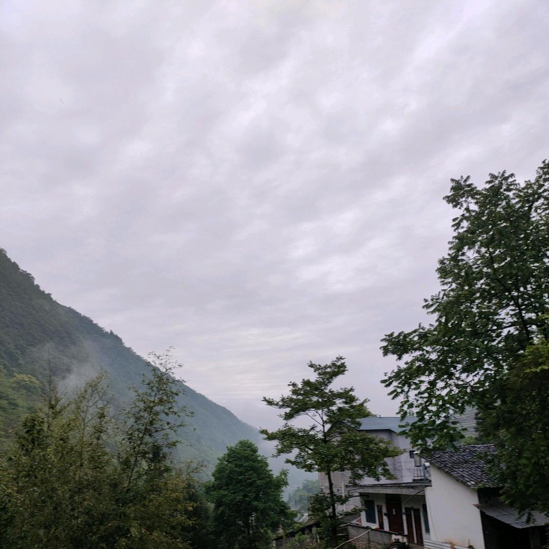 小不点