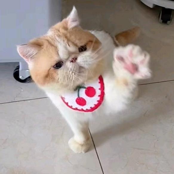 样